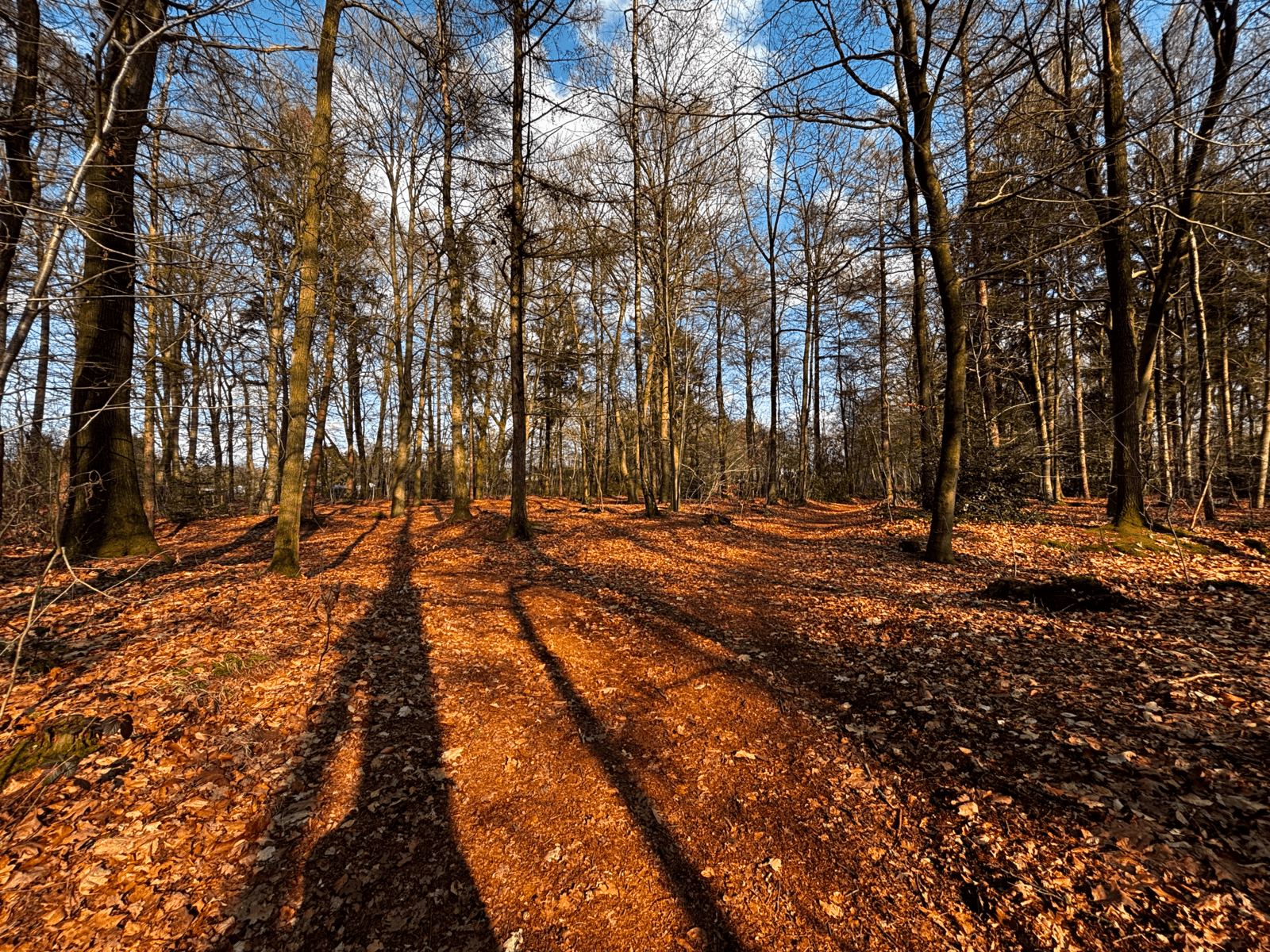 Scouting Balmoral terrein - Verzamelpunt voor groepen